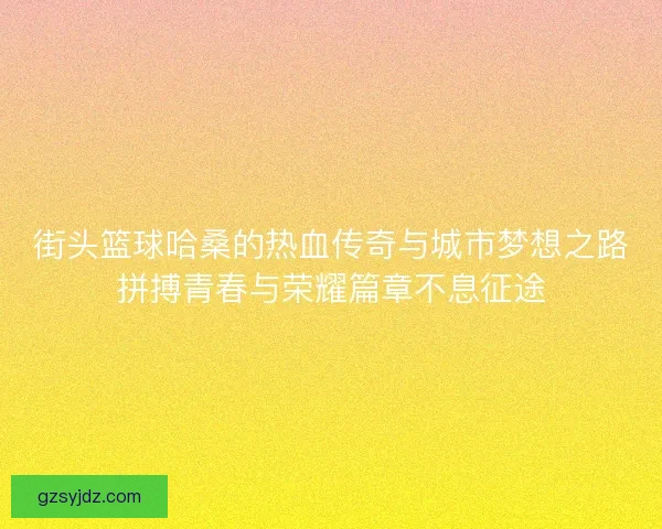 街头篮球哈桑的热血传奇与城市梦想之路拼搏青春与荣耀篇章不息征途